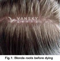 260505160132_Hair-Before Dying-s.jpg